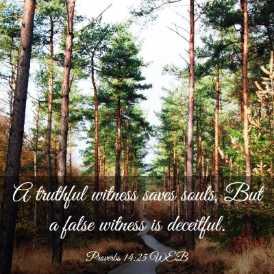Picture 03 - Proverbs 14:25 WEB - A truthful witness saves souls, But a false - Bible Verse Picture