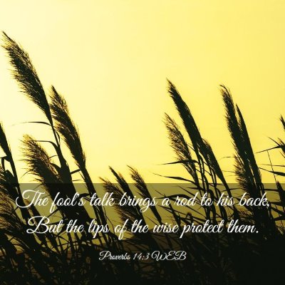 Picture 03 - Proverbs 14:3 WEB - The fool's talk brings a rod to his back, But the - Bible Verse Picture