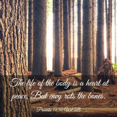 Picture 03 - Proverbs 14:30 WEB - The life of the body is a heart at peace, But - Bible Verse Picture