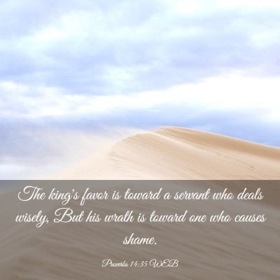 Picture 03 - Proverbs 14:35 WEB - The king's favor is toward a servant who deals - Bible Verse Picture
