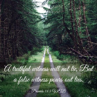 Picture 03 - Proverbs 14:5 WEB - A truthful witness will not lie, But a false - Bible Verse Picture