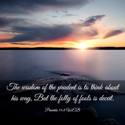 Picture 03 - Proverbs 14:8 WEB - The wisdom of the prudent is to think about his - Bible Verse Picture