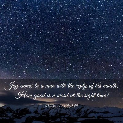 Picture 03 - Proverbs 15:23 WEB - Joy comes to a man with the reply of his mouth. - Bible Verse Picture