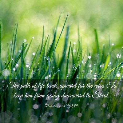 Picture 03 - Proverbs 15:24 WEB - The path of life leads upward for the wise, To - Bible Verse Picture