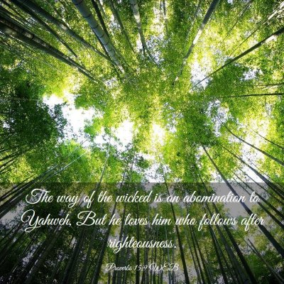 Picture 03 - Proverbs 15:9 WEB - The way of the wicked is an abomination to - Bible Verse Picture