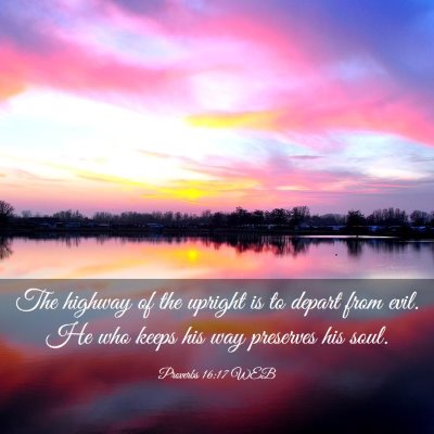 Picture 03 - Proverbs 16:17 WEB - The highway of the upright is to depart from - Bible Verse Picture