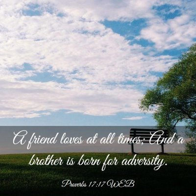 Picture 03 - Proverbs 17:17 WEB - A friend loves at all times; And a brother is - Bible Verse Picture