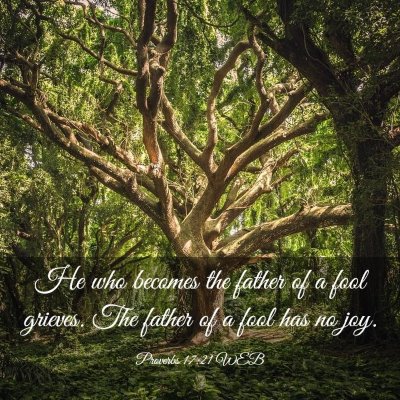 Picture 03 - Proverbs 17:21 WEB - He who becomes the father of a fool grieves. The - Bible Verse Picture