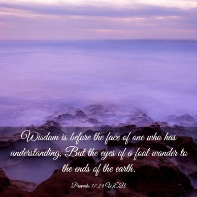 Picture 03 - Proverbs 17:24 WEB - Wisdom is before the face of one who has - Bible Verse Picture