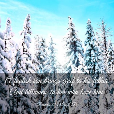 Picture 03 - Proverbs 17:25 WEB - A foolish son brings grief to his father, And - Bible Verse Picture