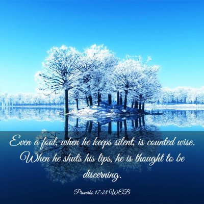Picture 03 - Proverbs 17:28 WEB - Even a fool, when he keeps silent, is counted - Bible Verse Picture