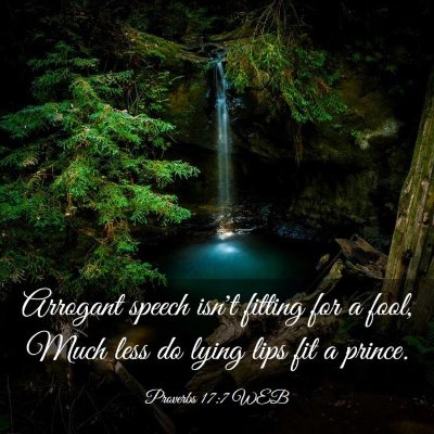 Picture 03 - Proverbs 17:7 WEB - Arrogant speech isn't fitting for a fool, Much - Bible Verse Picture