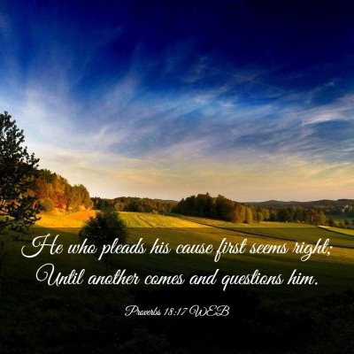 Picture 03 - Proverbs 18:17 WEB - He who pleads his cause first seems right; Until - Bible Verse Picture