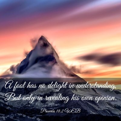 Picture 03 - Proverbs 18:2 WEB - A fool has no delight in understanding, But only - Bible Verse Picture