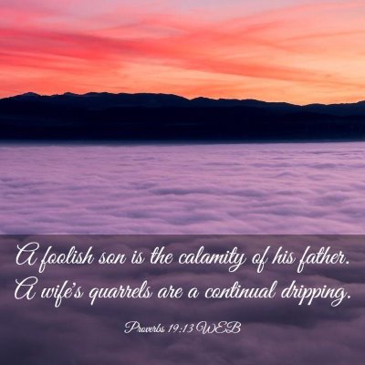 Picture 03 - Proverbs 19:13 WEB - A foolish son is the calamity of his father. A - Bible Verse Picture