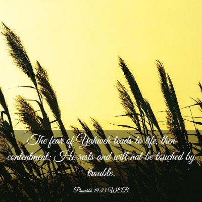 Picture 03 - Proverbs 19:23 WEB - The fear of Yahweh leads to life, then - Bible Verse Picture