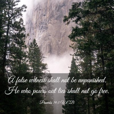 Picture 03 - Proverbs 19:5 WEB - A false witness shall not be unpunished. He who - Bible Verse Picture