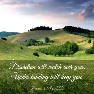 Picture 03 - Proverbs 2:11 WEB - Discretion will watch over you. Understanding - Bible Verse Picture