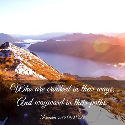 Picture 03 - Proverbs 2:15 WEB - Who are crooked in their ways, And wayward in - Bible Verse Picture