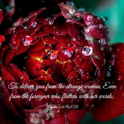 Picture 03 - Proverbs 2:16 WEB - To deliver you from the strange woman, Even from - Bible Verse Picture