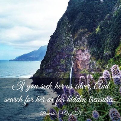 Picture 03 - Proverbs 2:4 WEB - If you seek her as silver, And search for her as - Bible Verse Picture
