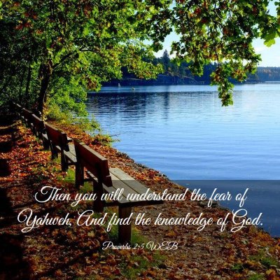 Picture 03 - Proverbs 2:5 WEB - Then you will understand the fear of Yahweh, And - Bible Verse Picture