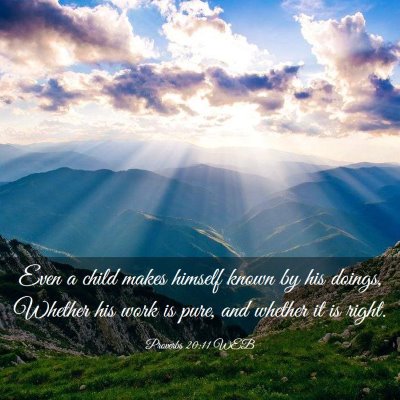 Picture 03 - Proverbs 20:11 WEB - Even a child makes himself known by his doings, - Bible Verse Picture