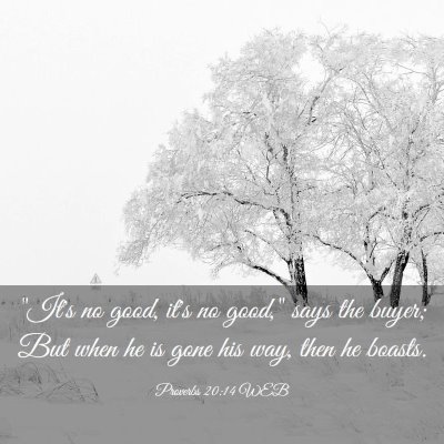 Picture 03 - Proverbs 20:14 WEB - 