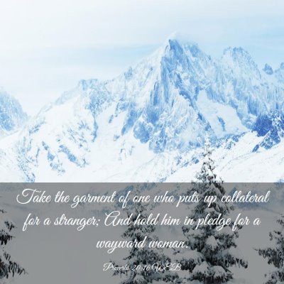 Picture 03 - Proverbs 20:16 WEB - Take the garment of one who puts up collateral - Bible Verse Picture