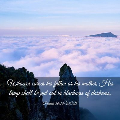Picture 03 - Proverbs 20:20 WEB - Whoever curses his father or his mother, His lamp - Bible Verse Picture