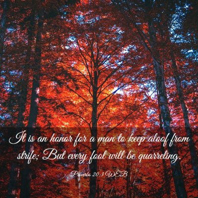 Picture 03 - Proverbs 20:3 WEB - It is an honor for a man to keep aloof from - Bible Verse Picture