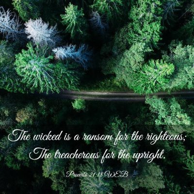 Picture 03 - Proverbs 21:18 WEB - The wicked is a ransom for the righteous; The - Bible Verse Picture