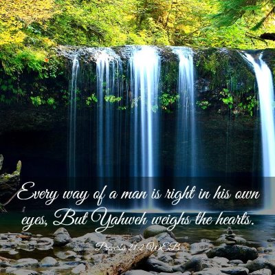 Picture 03 - Proverbs 21:2 WEB - Every way of a man is right in his own eyes, But - Bible Verse Picture