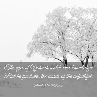 Picture 03 - Proverbs 22:12 WEB - The eyes of Yahweh watch over knowledge; But he - Bible Verse Picture