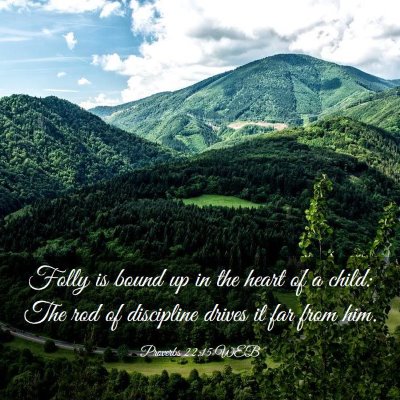 Picture 03 - Proverbs 22:15 WEB - Folly is bound up in the heart of a child: The - Bible Verse Picture