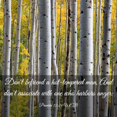 Picture 03 - Proverbs 22:24 WEB - Don't befriend a hot-tempered man, And don't - Bible Verse Picture