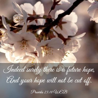 Picture 03 - Proverbs 23:18 WEB - Indeed surely there is a future hope, And your - Bible Verse Picture