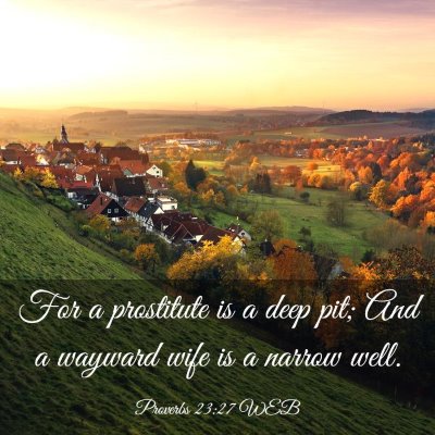 Picture 03 - Proverbs 23:27 WEB - For a prostitute is a deep pit; And a wayward - Bible Verse Picture