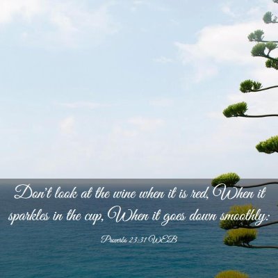 Picture 03 - Proverbs 23:31 WEB - Don't look at the wine when it is red, When it - Bible Verse Picture