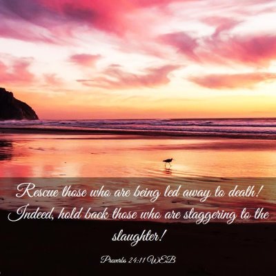 Picture 03 - Proverbs 24:11 WEB - Rescue those who are being led away to death! - Bible Verse Picture