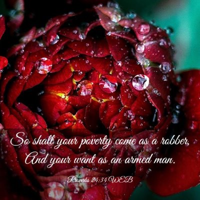 Picture 03 - Proverbs 24:34 WEB - So shall your poverty come as a robber, And your - Bible Verse Picture