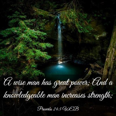Picture 03 - Proverbs 24:5 WEB - A wise man has great power; And a knowledgeable - Bible Verse Picture