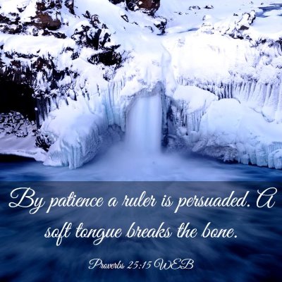Picture 03 - Proverbs 25:15 WEB - By patience a ruler is persuaded. A soft tongue - Bible Verse Picture