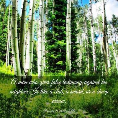 Picture 03 - Proverbs 25:18 WEB - A man who gives false testimony against his - Bible Verse Picture