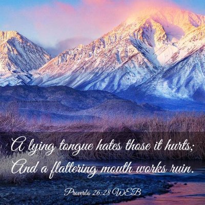 Picture 03 - Proverbs 26:28 WEB - A lying tongue hates those it hurts; And a - Bible Verse Picture