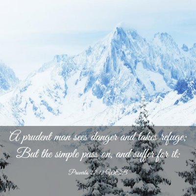 Picture 03 - Proverbs 27:12 WEB - A prudent man sees danger and takes refuge; But - Bible Verse Picture
