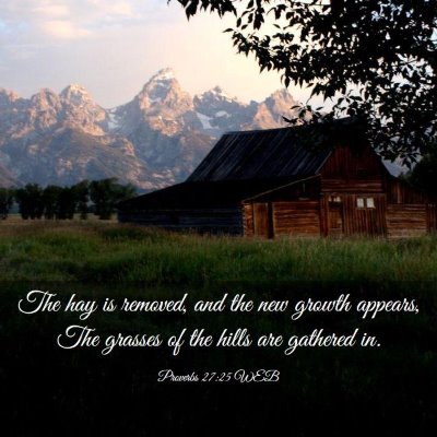 Picture 03 - Proverbs 27:25 WEB - The hay is removed, and the new growth appears, - Bible Verse Picture