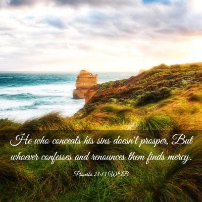 Picture 03 - Proverbs 28:13 WEB - He who conceals his sins doesn't prosper, But - Bible Verse Picture