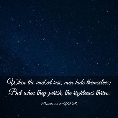 Picture 03 - Proverbs 28:28 WEB - When the wicked rise, men hide themselves; But - Bible Verse Picture