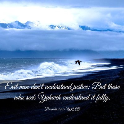 Picture 03 - Proverbs 28:5 WEB - Evil men don't understand justice; But those who - Bible Verse Picture